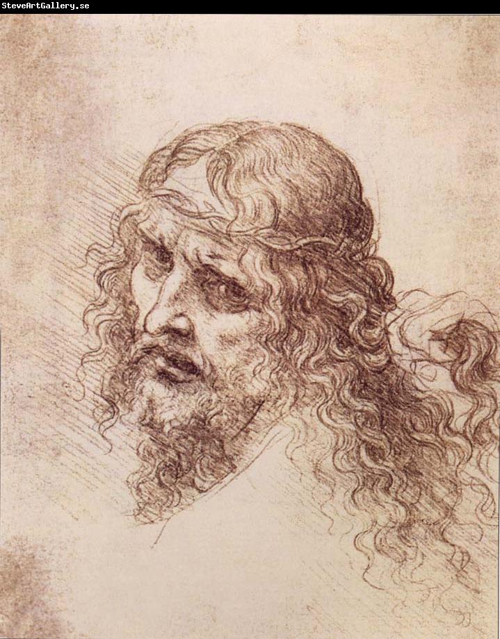 LEONARDO da Vinci Head and shoulders Christs